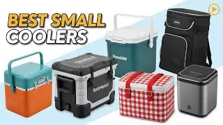 TOP 5 Best Small Coolers 2026 | High-performance lunch coolers