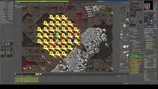 Crypt Warrior  - Solo RP 600 - 7kk raw xp/h