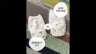 Right diaper size. GEGE diapers