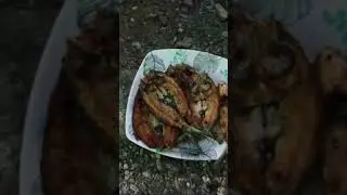Buhay Farm Vlog is live!