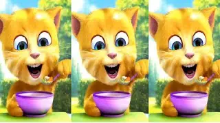 Meo Meo Meo - Rửa mặt như m&egrave;o - Đi học về - Nhac thiếu nhi cho b&eacute;