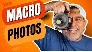 Macro Photography Tips for Stunning Close-Up Shots