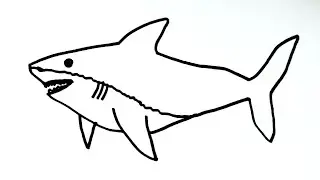How to Draw a Shark Easy Step by Step 