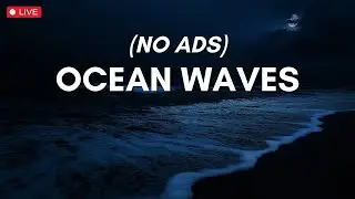 12 Hour Tropical Beach ASMR : Gentle Ocean Sounds for Sleep, Meditation, and Relaxation 🧘&zwj;♀️😴