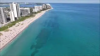 School of Tarpon &  Jacks Singer Island