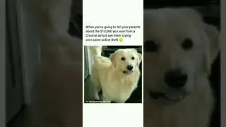 😂😂😂
