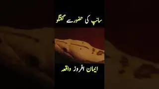 sanp ki hazoor say guftgo #shorts