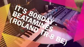 808day - Beatamines - Roland TR 8