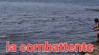 una giornata di pesca da incorniciare! con acqua calda amici ed inneschi di bibi e verme di rimini
