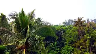 Naik's Resort, Alibaug Top View | Drone Shots