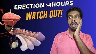 How a Prolonged Erection Change a Man's Life
