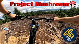 Project Mushroom - Brand New Trail - Tarland Trails 2025