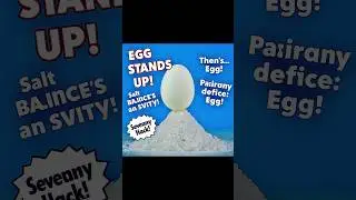 SALT MAGIC! 🤯 How to Balance an Egg on its End! (Egg Standing Trick)#experiment #egg