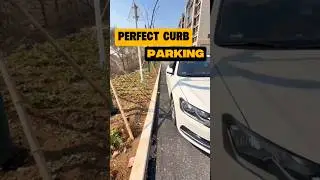 Smooth and Precise Street Parking Tips #parallelparking #reverseparking #automobile