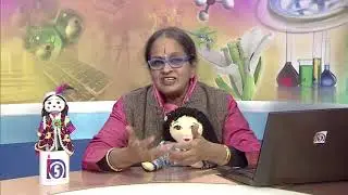 ECCE - Early Childhood in India (Profile of Early Childhood)- Lesson 2