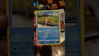 Ramoloss et Flagadoss de Galar V