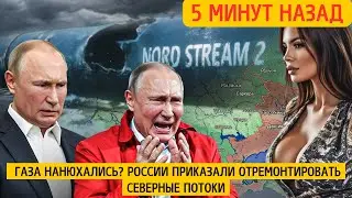 Газа нанюхались? России приказали отремонтировать Северные потоки - Путин не сдержался!