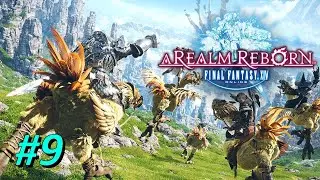 Операция Архонт | 009 | Final Fantasy XIV ARR MSQ