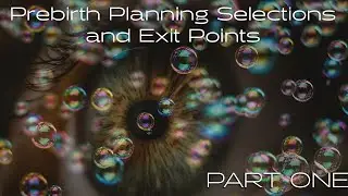 PRE-BIRTH PLANNING SELECTIONS & EXIT POINTS: Part One