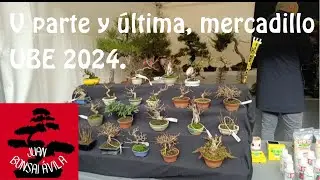 V parte y última, UBE 2024, mercadillo de bonsai.