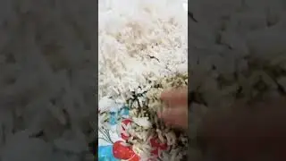 গোপাল ঠাকুরের পিকনিকে ভালো খাবার এর আয়োজন ছিল 👌@rita food centre #minivlog #food #cooking #foryou