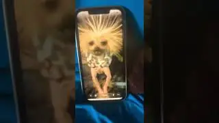 Funny phone #memes