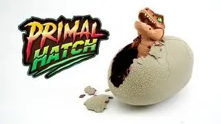 Primal Hatch T-Rex | L&iacute;hnut&iacute; robotick&eacute;ho dinosarura z vejce