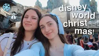 december in disney world | disney college program