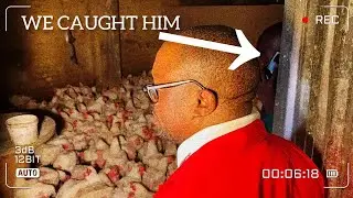 Zimbabwean national apprehended for running poultry farm in Johannesburg flat ??
