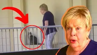 Cat&rsquo;s Strange Behavior Alerts His Elderly Owner About The Dangerous Situation Outside Their House