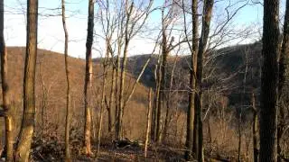 View from logging road of valley falls