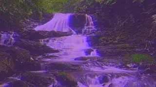 Ｄｒｅａｍ　Ｗａｔｅｒｆａｌｌｓ　－　Ｖａｐｏｒｗａｖｅ　[Ｌｏｏｐ]