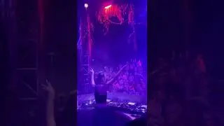 Bali's Best Nightlife 🔥