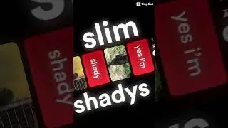 Gorilla slim shady