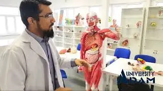 Virtual Tour of Anatomy Museum ADAM University | School of Medicine