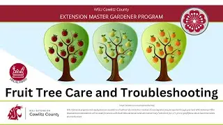 Fruit Tree Care Troubleshooting