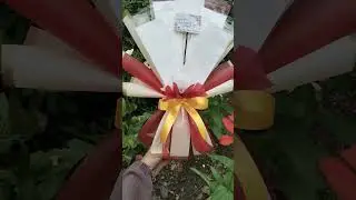 DIY BUKET UANG KOSONGAN DENGAN 1 KERTAS CELLOPHANE #diy #fypシ #buketuang
