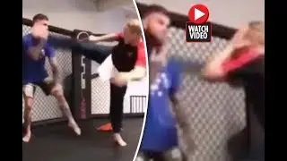 Shocking video: Jean-Claude Van Damme almost KO Cody Garbrandt during sparring