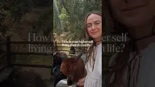 What kind of life do you want?