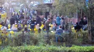Bosque do papa Curitiba