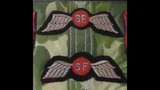 Office of Strategic Services (OSS) Jedburgh Wings&mdash;VLOG 1