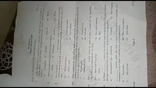 CLASS 10 information technology answer key 🔑
