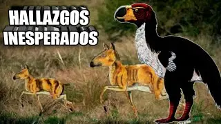 Brontornis ya no da miedo 😌 Proterotéridos, los misteriosos ungulados 🐾