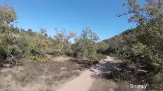 Marian bear park Flight