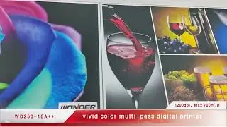 WD250-16A++ Multi-Pass Scanning Digital Printing Press(old housing)