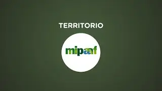 A TANCA REGIA, FRA STORIA E TRADIZIONE EQUESTRE