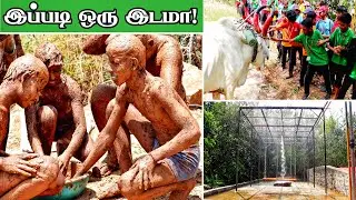 வெயிலுக்கு, சென்னை பக்கத்துல இப்படி ஒரு இடமா! | Agro Tourism