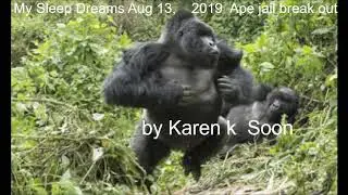 My Sleep Dreams Aug 13,    2019  Ape jail break out by Karen k  Soon
