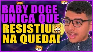 BABY DOGE UNICA MOEDA QUE RESISTIU NA QUEDA DO MERCADO!