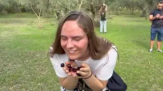 Path of Olive &ndash; A Journey Through Youth Collaboration